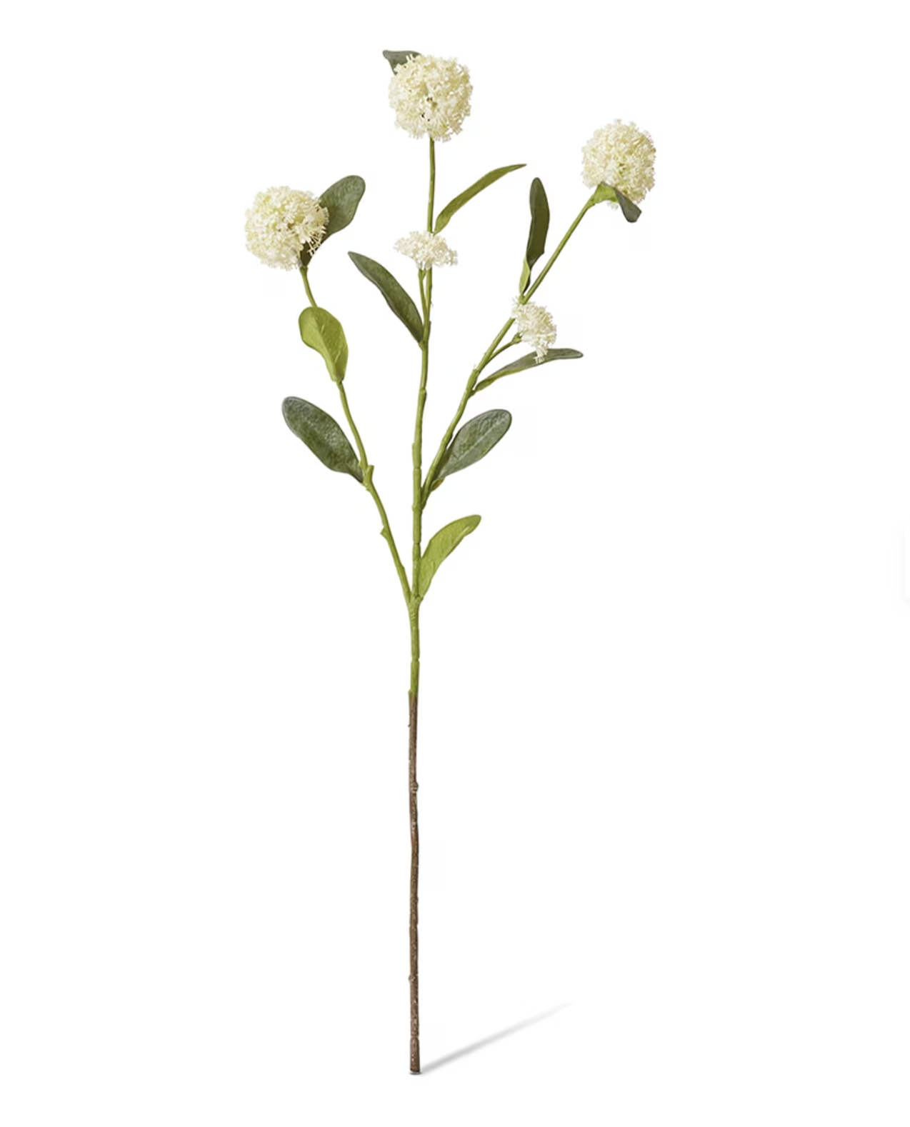 Alyssum Spray