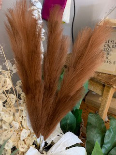 Reed Plant