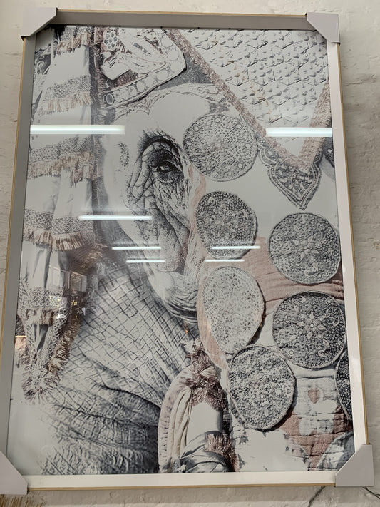 Elephant Print