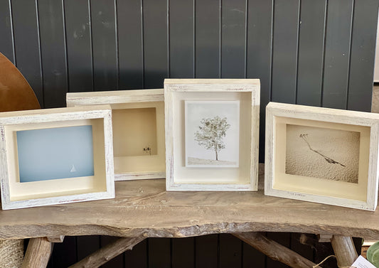 Framed  Photographs