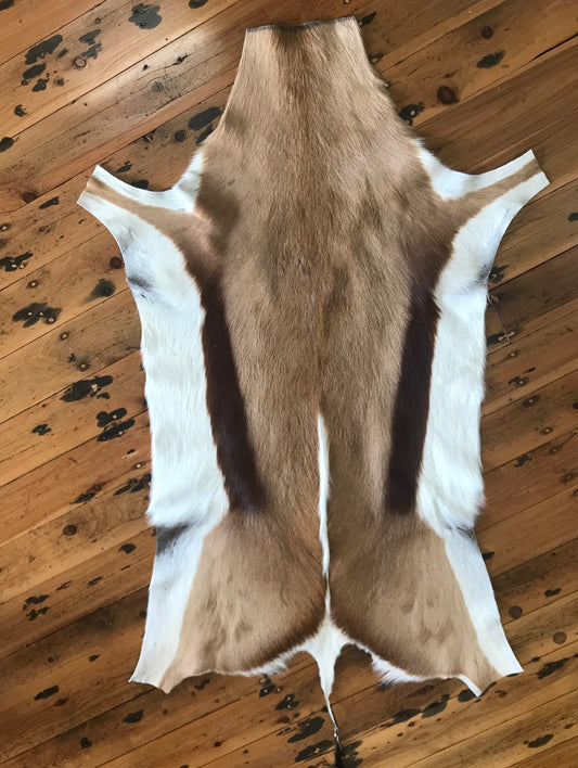 Natural Springbok Hide