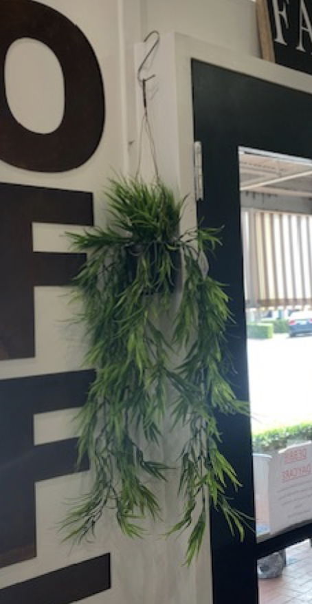 Mini Bamboo