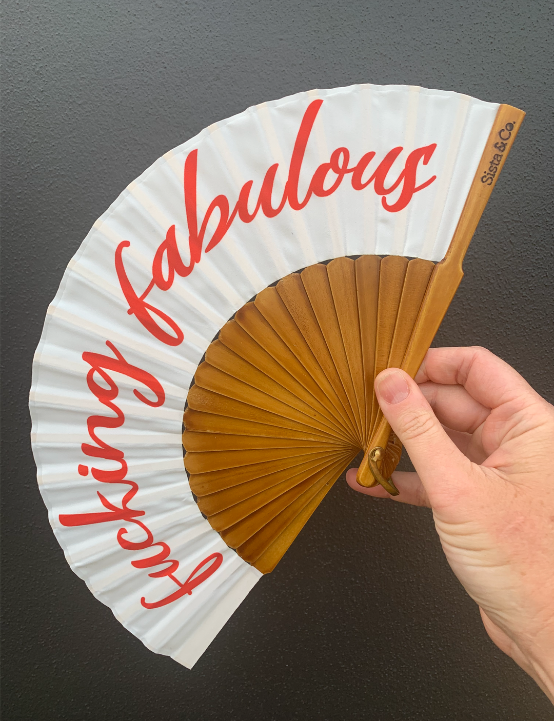 Handheld Fan