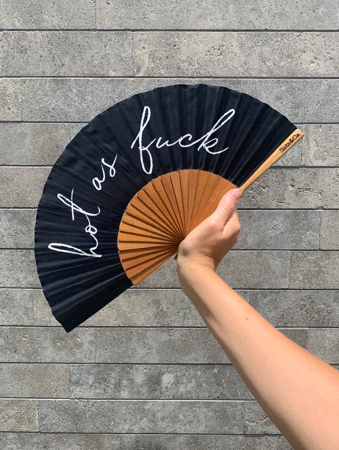 Handheld Fan