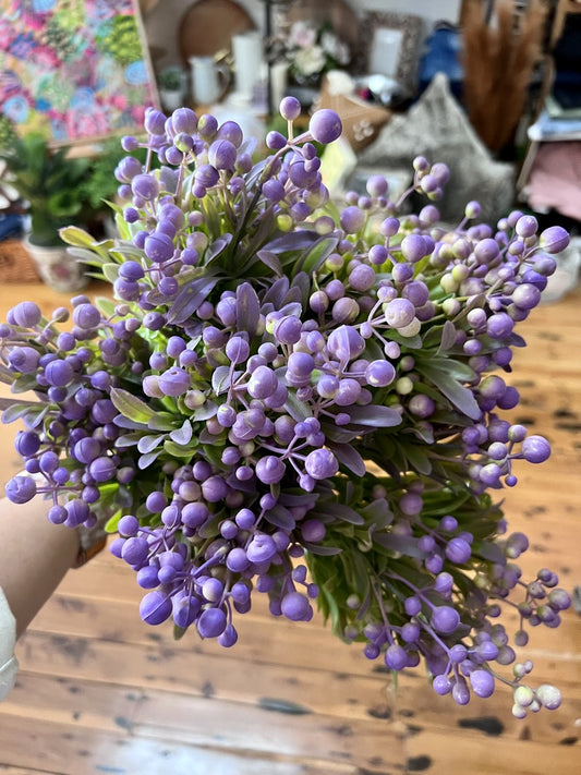 Sedum Berry