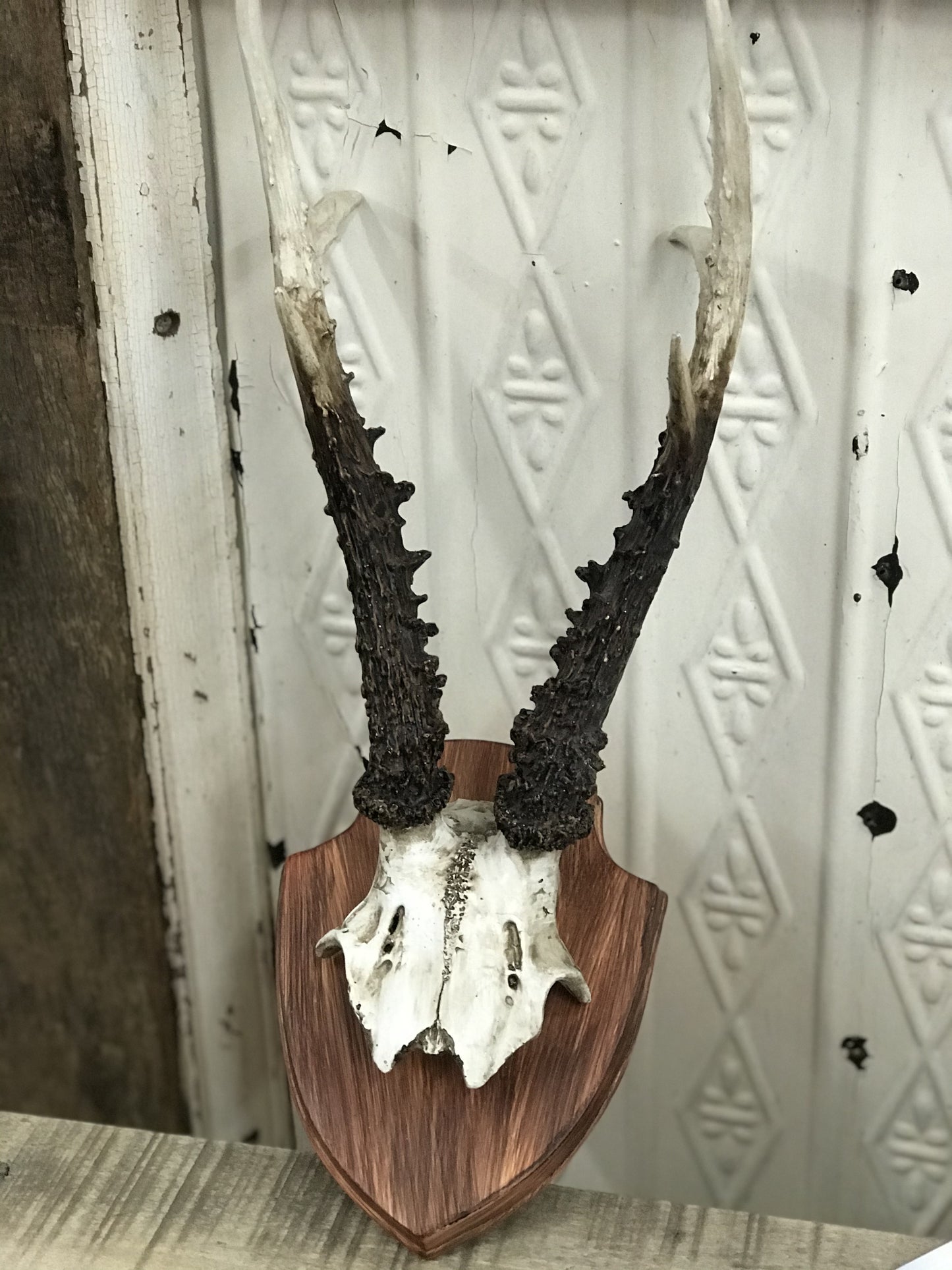 Deer Horns Wall Plaque