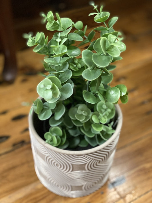 Potted faux eucalyptus