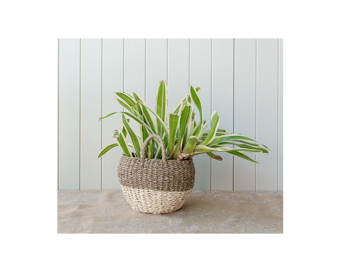 Seagrass Bulb Basket