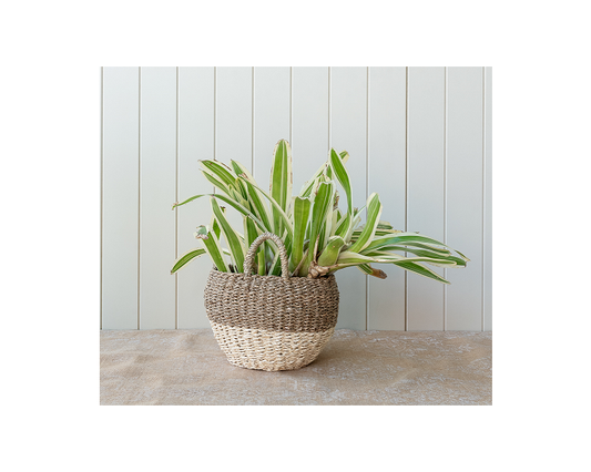 Seagrass Bulb Basket
