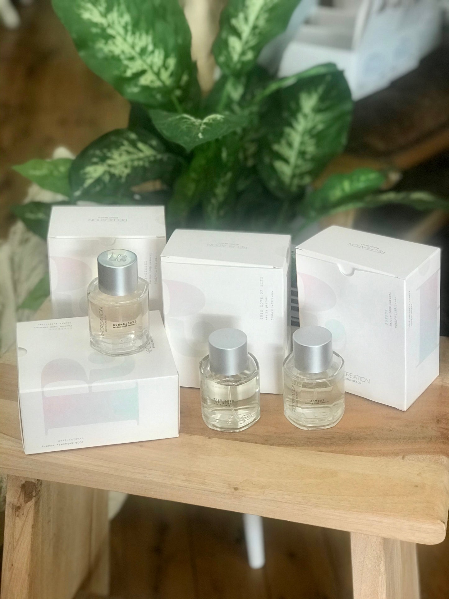 Stardust woody eau de parfum 50ml