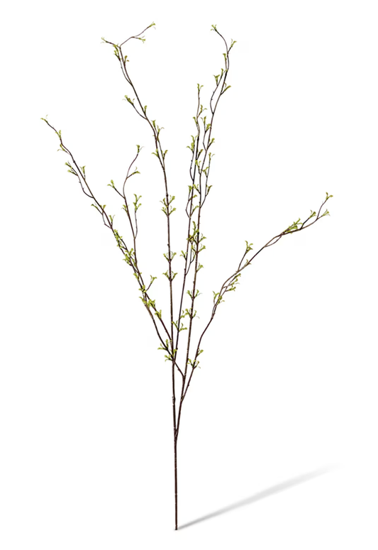Spring bud leaf spray