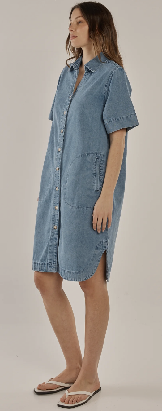 Dawson Denim Dress
