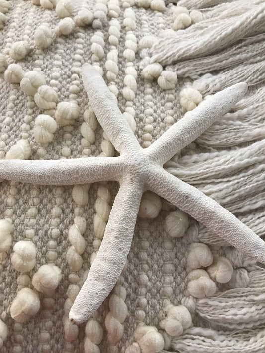Star fish
