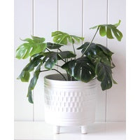 Blanc Footed Pot
