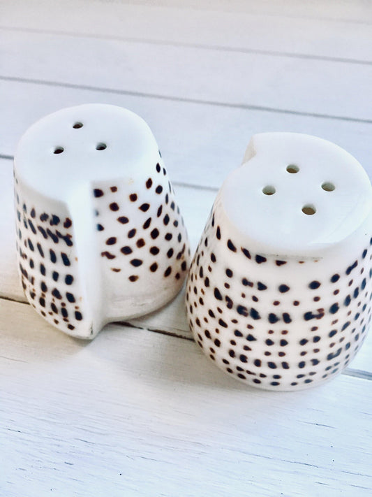 Shell Salt and Pepper Shakers
