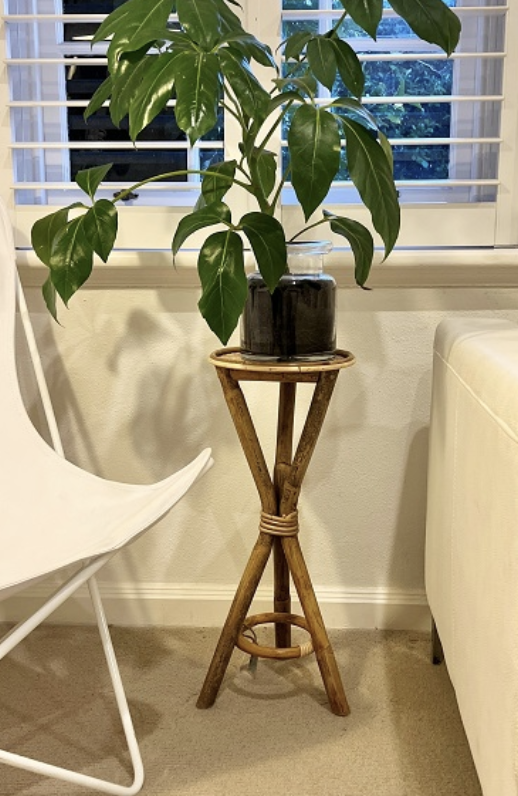 Webbing Plant Stand