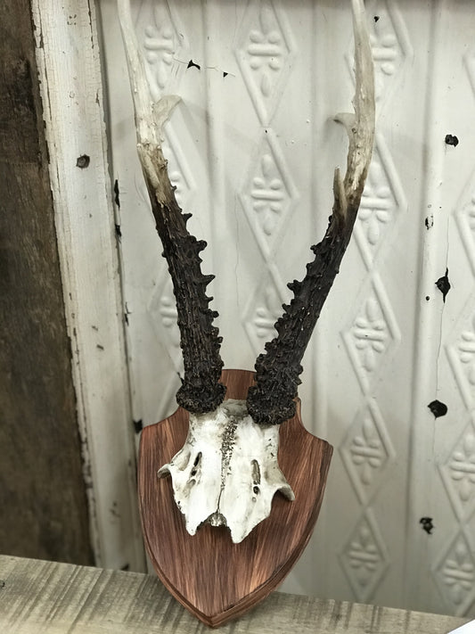 Deer Horns Wall Plaque