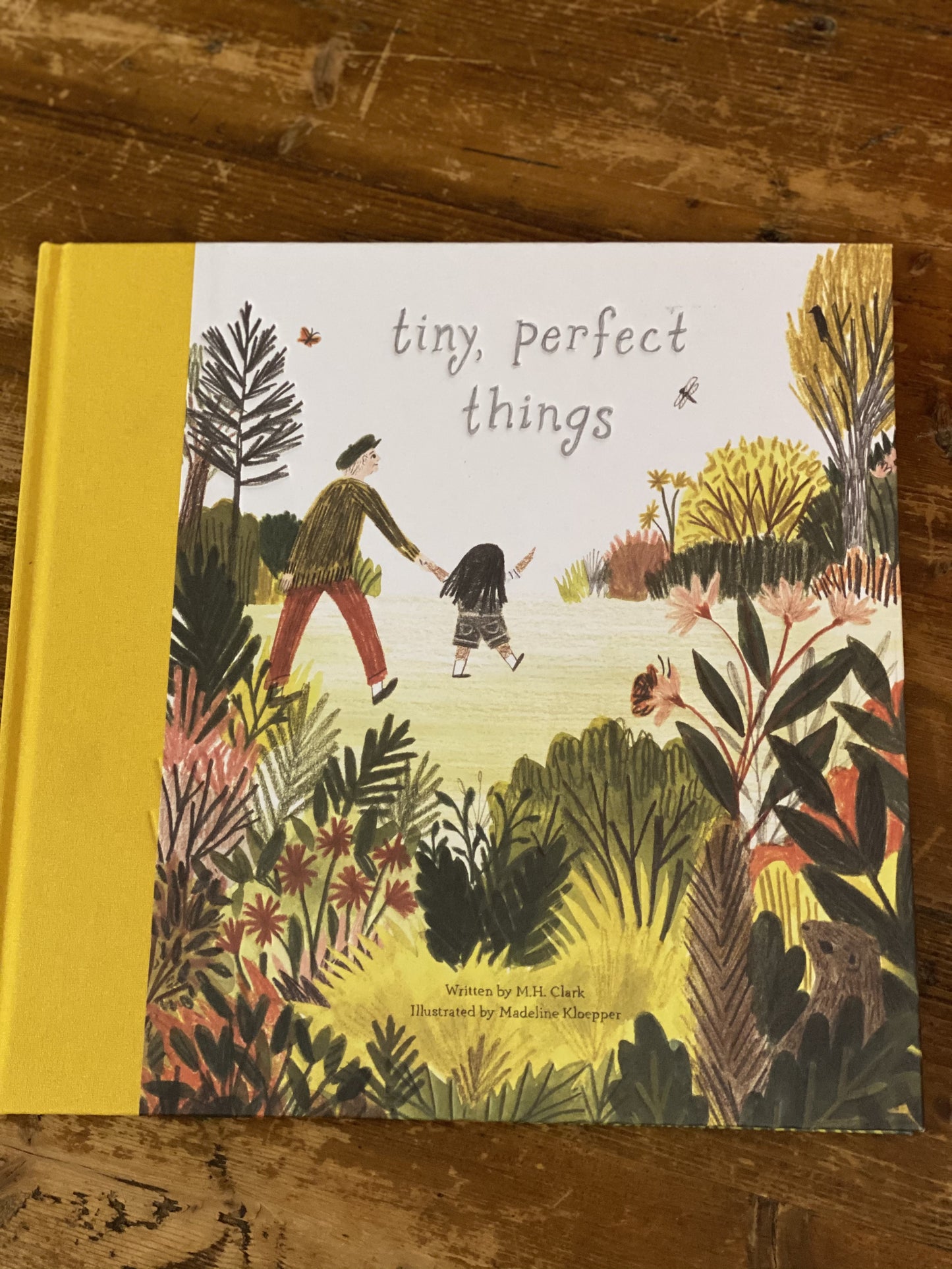 Tiny Perfect Things Book